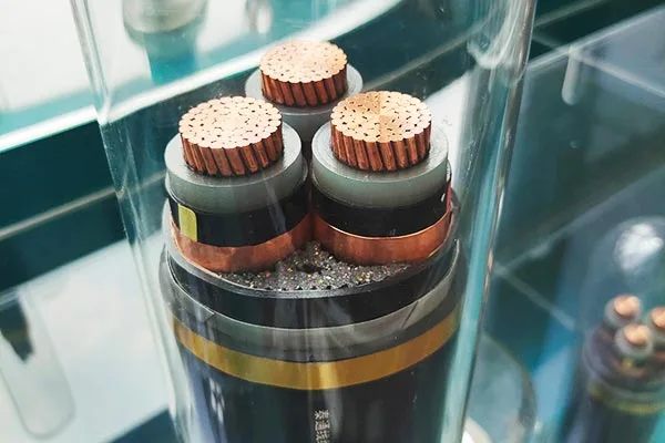 Kapsamlı Servis Desteği